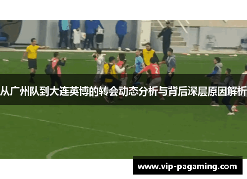 从广州队到大连英博的转会动态分析与背后深层原因解析