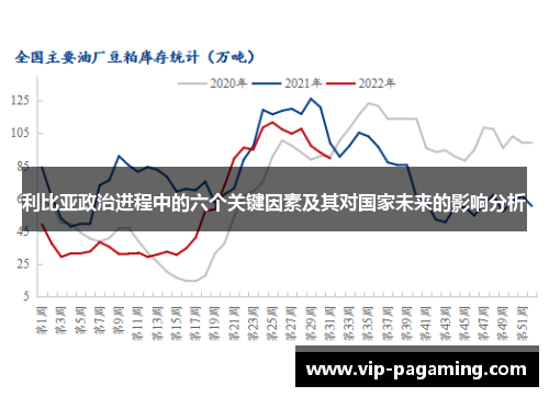 利比亚政治进程中的六个关键因素及其对国家未来的影响分析