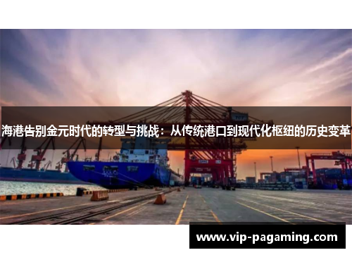 海港告别金元时代的转型与挑战：从传统港口到现代化枢纽的历史变革