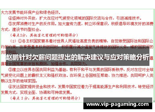 赵鹏针对欠薪问题提出的解决建议与应对策略分析