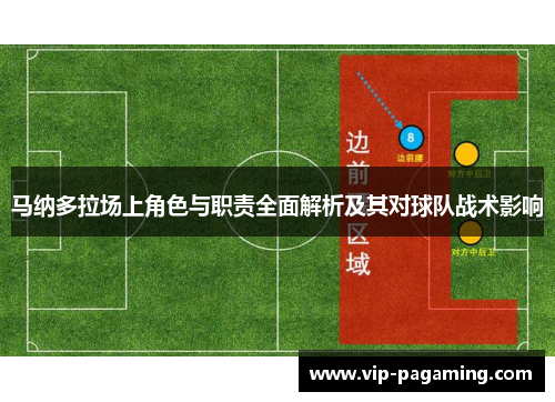 马纳多拉场上角色与职责全面解析及其对球队战术影响