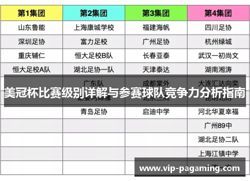 美冠杯比赛级别详解与参赛球队竞争力分析指南