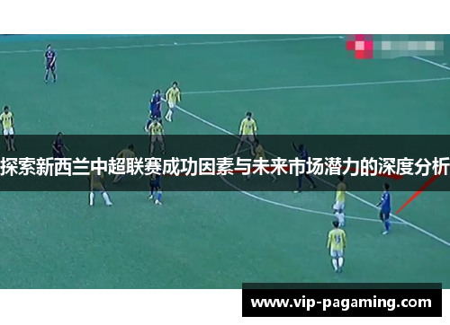 探索新西兰中超联赛成功因素与未来市场潜力的深度分析