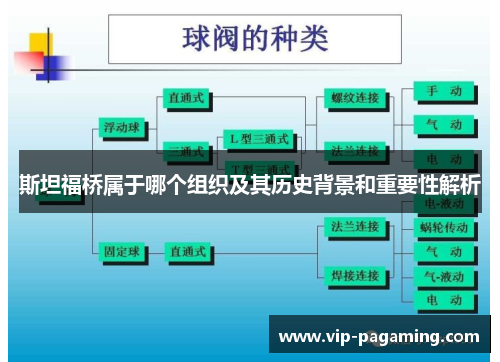 斯坦福桥属于哪个组织及其历史背景和重要性解析