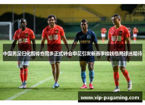 中国男足归化前锋费南多正式转会申花引发新赛季锋线格局球迷期待