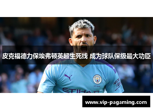 皮克福德力保埃弗顿英超生死线 成为球队保级最大功臣 皮克福德力保埃弗顿英超生死线 成为球队保级最大功臣