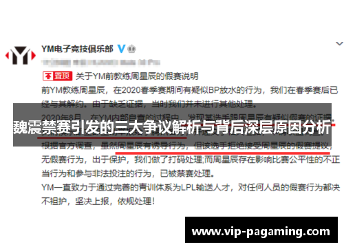 魏震禁赛引发的三大争议解析与背后深层原因分析