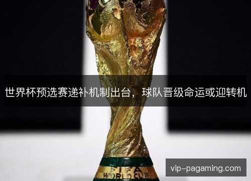 世界杯预选赛递补机制出台，球队晋级命运或迎转机
