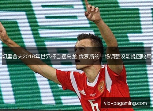 切里舍夫2018年世界杯自摆乌龙 俄罗斯的中场调整没能挽回败局